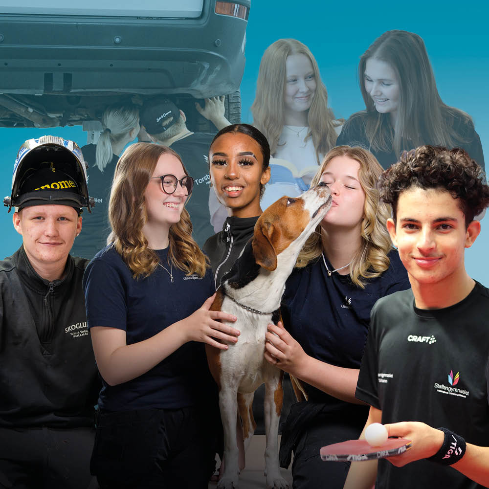 Gymnasieutbildningar för ungdomar